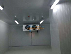 南寧醫(yī)藥冷庫 大量供應品質可靠的冷庫 廣西南寧市弘雪制冷設備