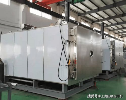 凍干面膜生產(chǎn)設備和技術