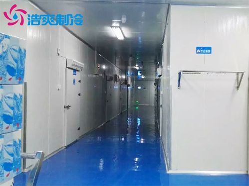 水產(chǎn)冷庫(kù)建造一個(gè)100平方的海鮮速凍冷庫(kù)造價(jià)