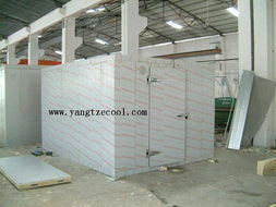 供應(yīng)潛山水果冷庫(kù)與專(zhuān)業(yè)制冷工程服務(wù)